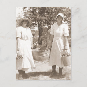 Women Picking Apples Postcard