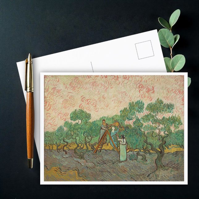 Women Picking Olives, Van Gogh Postcard (Creator Uploaded)