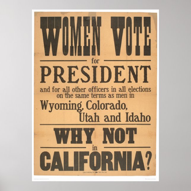 Women Vote Broadside (1873A) Poster (Front)