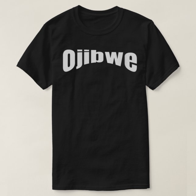 Womens Anishinaabe Chippewa Language Ojibwe VNeck  T-Shirt (Design Front)