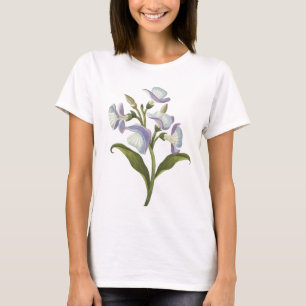 Women's Basic T-Shirt