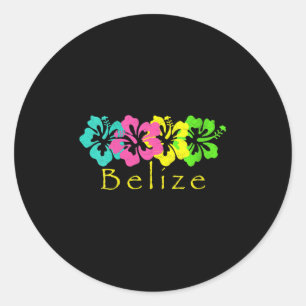 Womens Belise Tropical Beach _ Belise Surf V-neck Classic Round Sticker