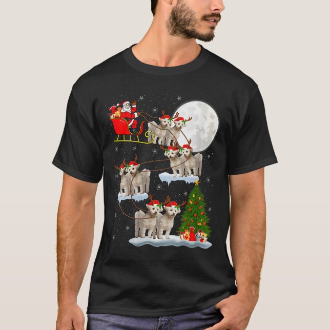 Womens Bichon Frise Dog Santa Sleigh Flying Funny  T-Shirt (Front)