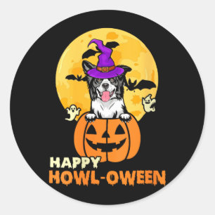 Womens Black And White Border Collie Witch Dog Classic Round Sticker