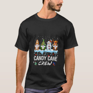 Womens Candy Cane Crew Gnomes V Neck T-Shirt