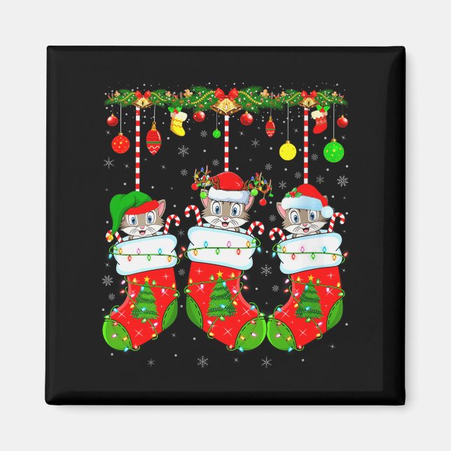 Womens Cats In Christmas Socks Funny Pet Animal Ca Magnet (Front)