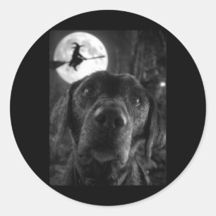 Womens Funny Labrador Selfie Full Moon Flying Classic Round Sticker