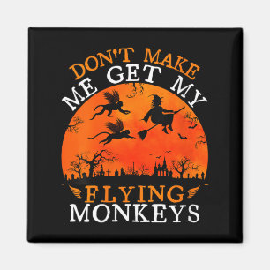 Womens Funny Witch Halloween Dont Make Get Flying Magnet
