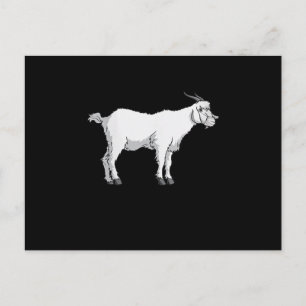 Womens Goat Wearing Medical Face Mask Funny Goat Announcement Postcard