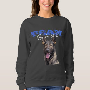 Women's Grey Team Bane Sweatshirt (w/ photo)