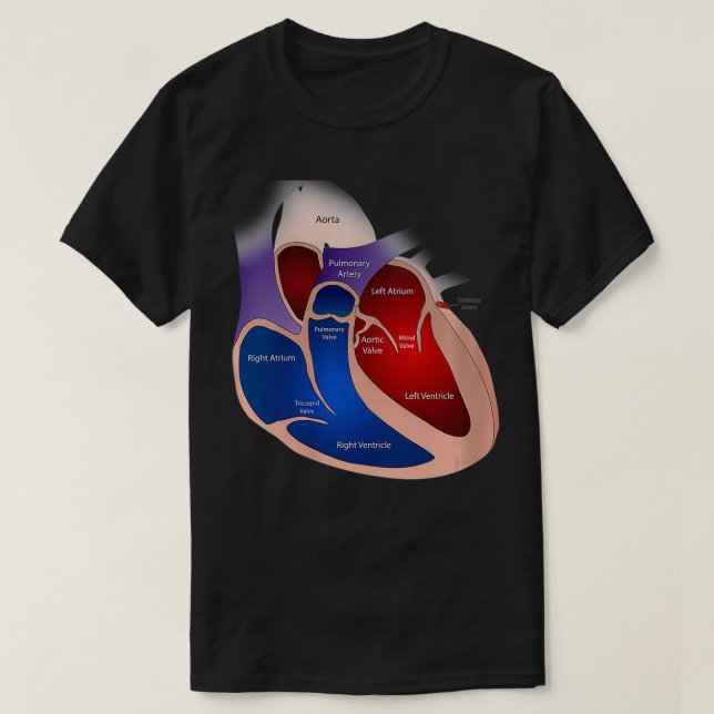 Womens Heart Anatomy VNeck  T-Shirt (Design Front)