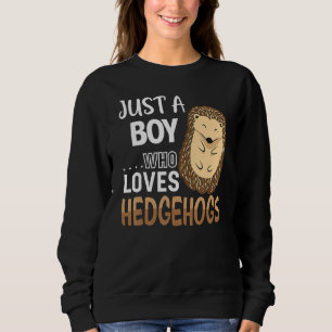 Womens Hedgehog Just A Boy Who Loves Hedgehog Cost Sweatshirt