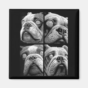 Womens Hypnotic Pit Bulls Weird Eyes Weirdcore Magnet