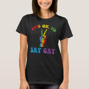 Womens Its Ok To Say Gay Florida Its Ok To Say Ga T-Shirt