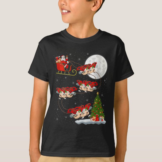 Womens Ladybug Ladybird Santa Sleigh Flying Funny  T-Shirt (Front)