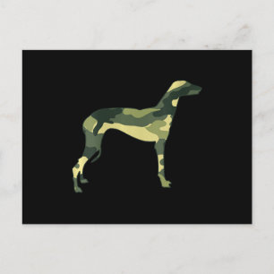 Womens Military Greyhound Camo Men Print Us Dog Postcard