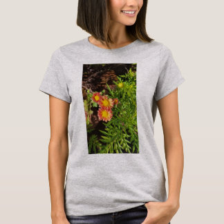 Womens New Design Tshirts and More