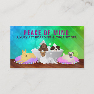Women's Pets Care and Dog Walking Business Cards