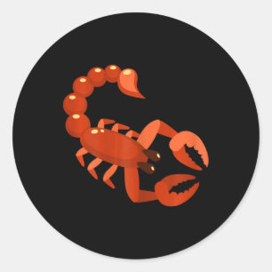 Womens Scorpio Zodiac October November Birthday Au Classic Round Sticker