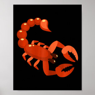 Womens Scorpio Zodiac October November Birthday Au Poster
