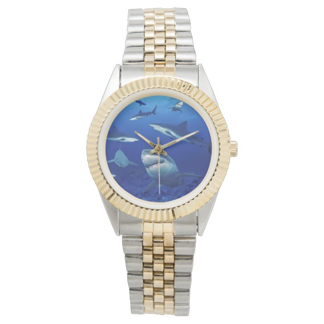 Women's Sharks Two-Tone Watch (Front)