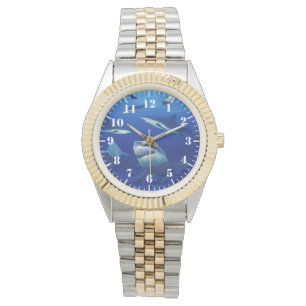 Women's Sharks Two-Tone Watch