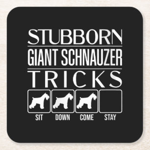 Womens Stubborn Giant Schnauzer Tricks, Funny Square Paper Coaster