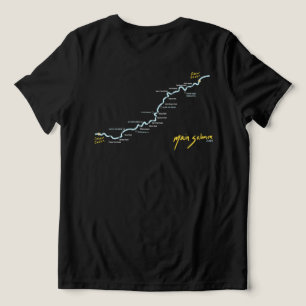 Women's Version 2 Tri-Blend Shirt