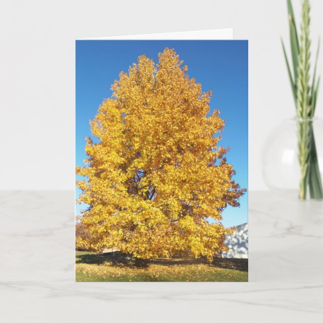 Wonder of Creation/Autumn Card (Front)