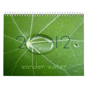 wonder water 2020 calendar