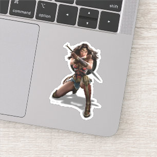 Wonder Woman Blocking With Bracelets