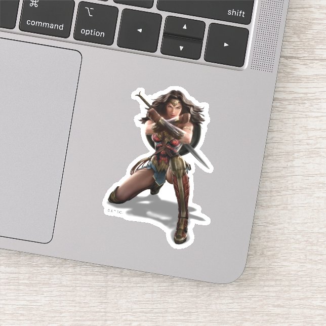 Wonder Woman Blocking With Bracelets (Detail)