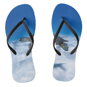 Wonderful Aquatic Turtle Thongs