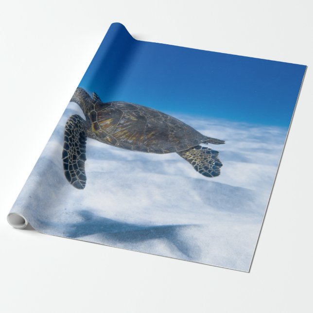 Wonderful Aquatic Turtle Wrapping Paper (Unrolled)