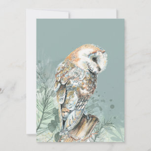 Wonderful Barn Owl Bird Wildlife Nature Art
