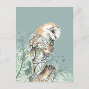 Wonderful Barn Owl Bird Wildlife Nature Art Postcard