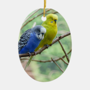 Wonderful Budgie Ceramic Tree Decoration