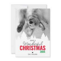 Wonderful Christmas red green photo