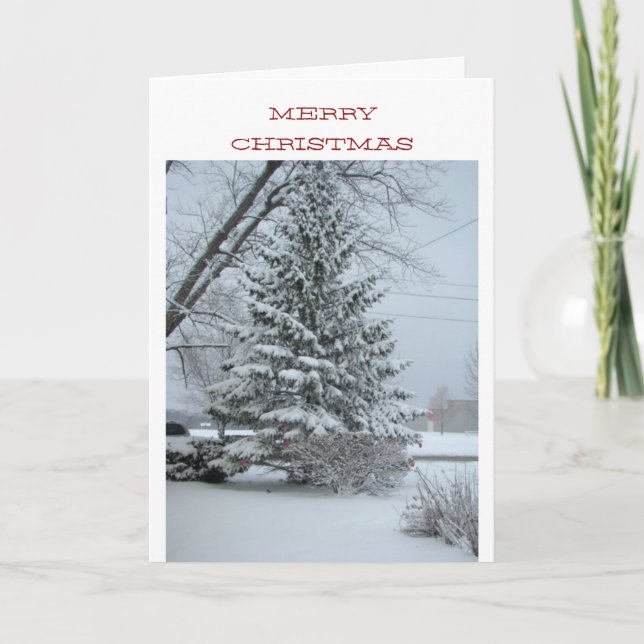 Wonderful Christmas, Snowy Pine Tree Holiday Card (Front)