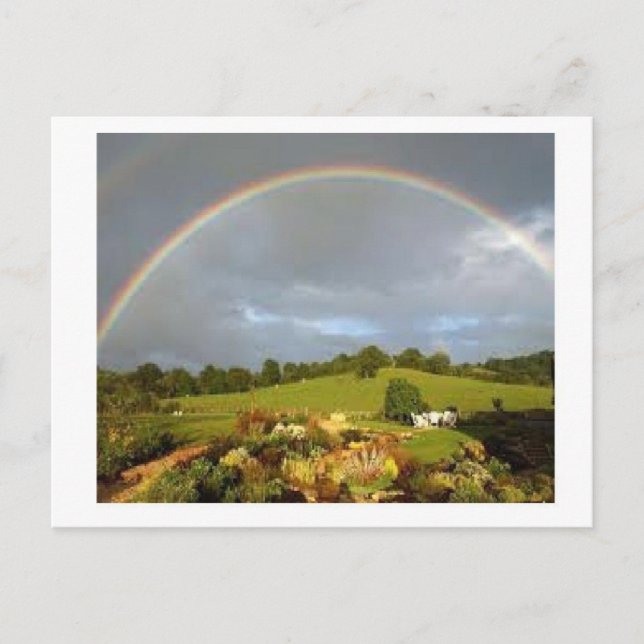 Wonderful Day Postcard (Front)