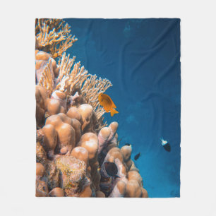 Wonderful Fishes And Reefs Fleece Blanket