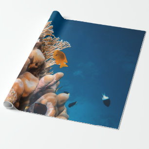 Wonderful Fishes And Reefs Wrapping Paper