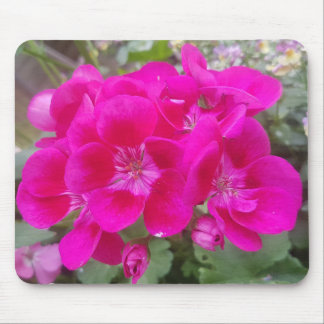 Wonderful Garden Flowers Mouse Mat Pad