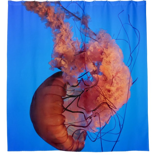 Wonderful Jellyfish Shower Curtain (Front)