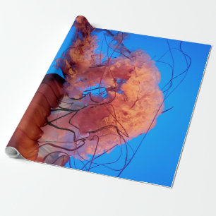 Wonderful Jellyfish Wrapping Paper