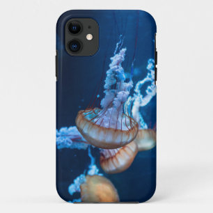 Wonderful Jellyfishes iPhone 11 Case