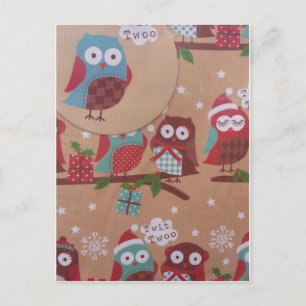 Wonderful Owl Postcard