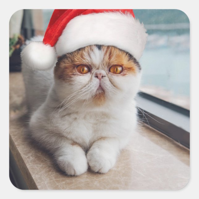 Wonderful persian cat with Santa Claus hat Square Sticker (Front)
