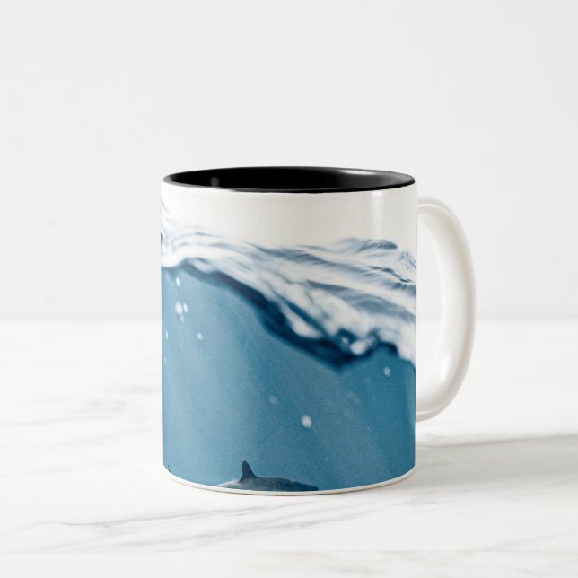 Wonderful Shark Two-Tone Coffee Mug (Front Right)