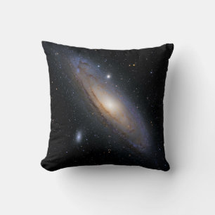 Wonderful Universe Cushion